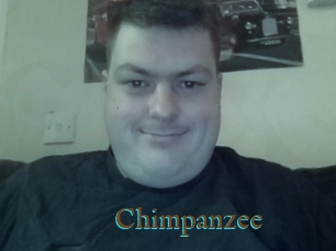 Chimpanzee