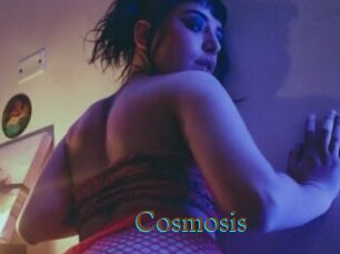 Cosmosis