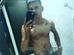 Damianhorny24