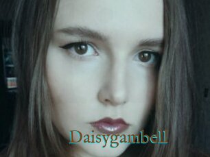 Daisygambell