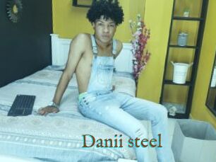 Danii_steel