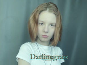 Darlinegrass