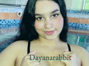 Dayanarabbit