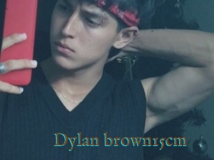 Dylan_brown15cm