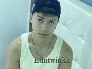 Edutwinkk