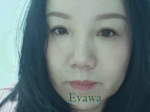 evawa Clipsx