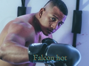 Falcon_hot