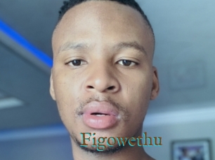 Figowethu