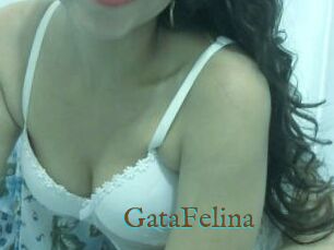 GataFelina