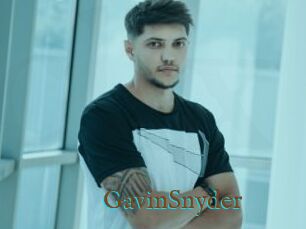 GavinSnyder