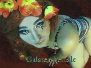 Galateashemale