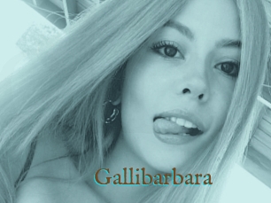 Gallibarbara