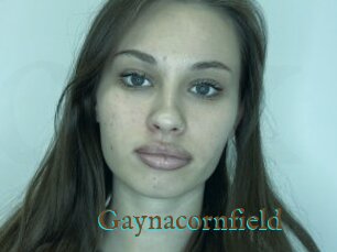 Gaynacornfield