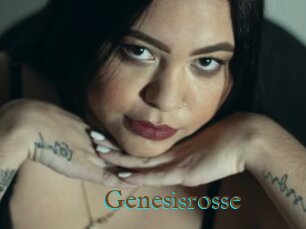 Genesisrosse