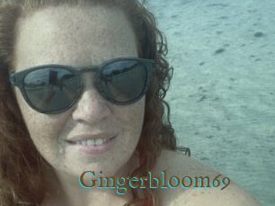 Gingerbloom69