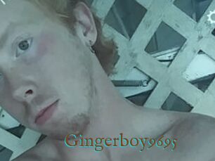 Gingerboy9695