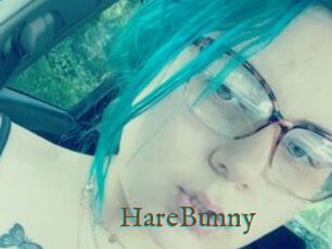 HareBunny