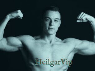 HeilgarVip