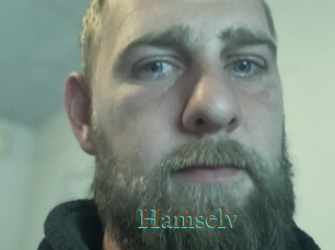 Hamselv