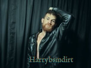 Harrybsmdirt