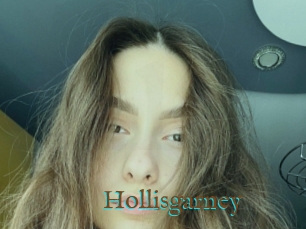 Hollisgarney