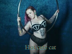 Hot_cute_cat