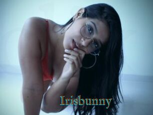 Irisbunny