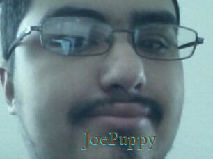 JoePuppy