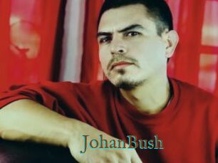 JohanBush