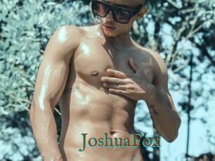 JoshuaFox