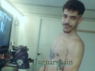 Jaguarspain