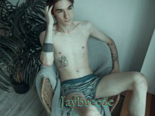 Jaybreeze