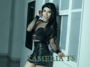 KAMELIA_TS