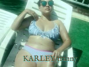 KARLEY_tranny