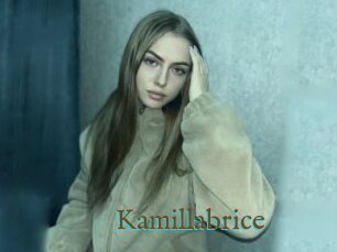 Kamillabrice