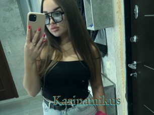 Karinamikus