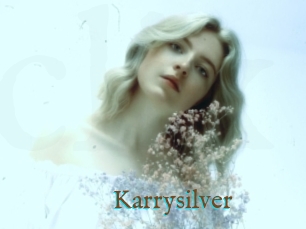 Karrysilver