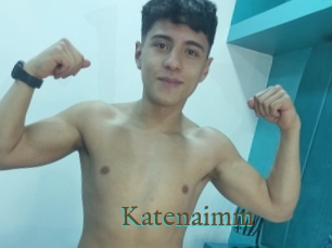 Katenaimm