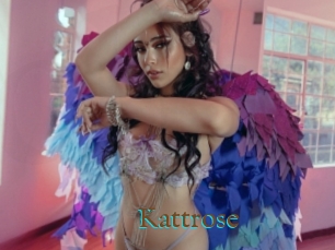 Kattrose