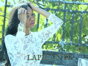 LAPICANTE