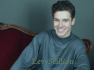 LevyStallion