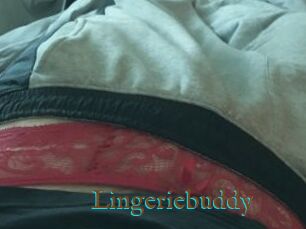 Lingeriebuddy