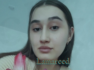 Lamareed