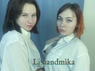 Lisaandmika