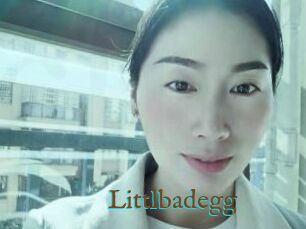 Littlbadegg