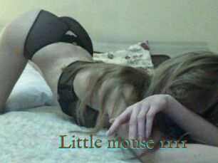 Little_mouse_1111