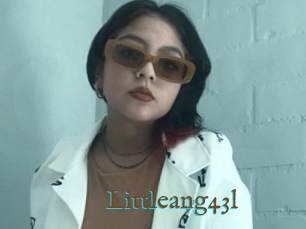 Littleang43l