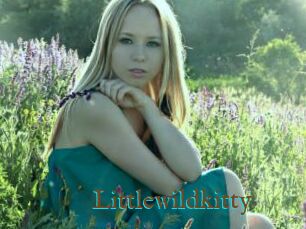 Littlewildkitty