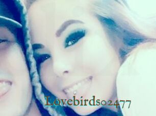 Lovebirds02477