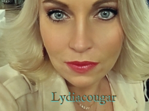 Lydiacougar